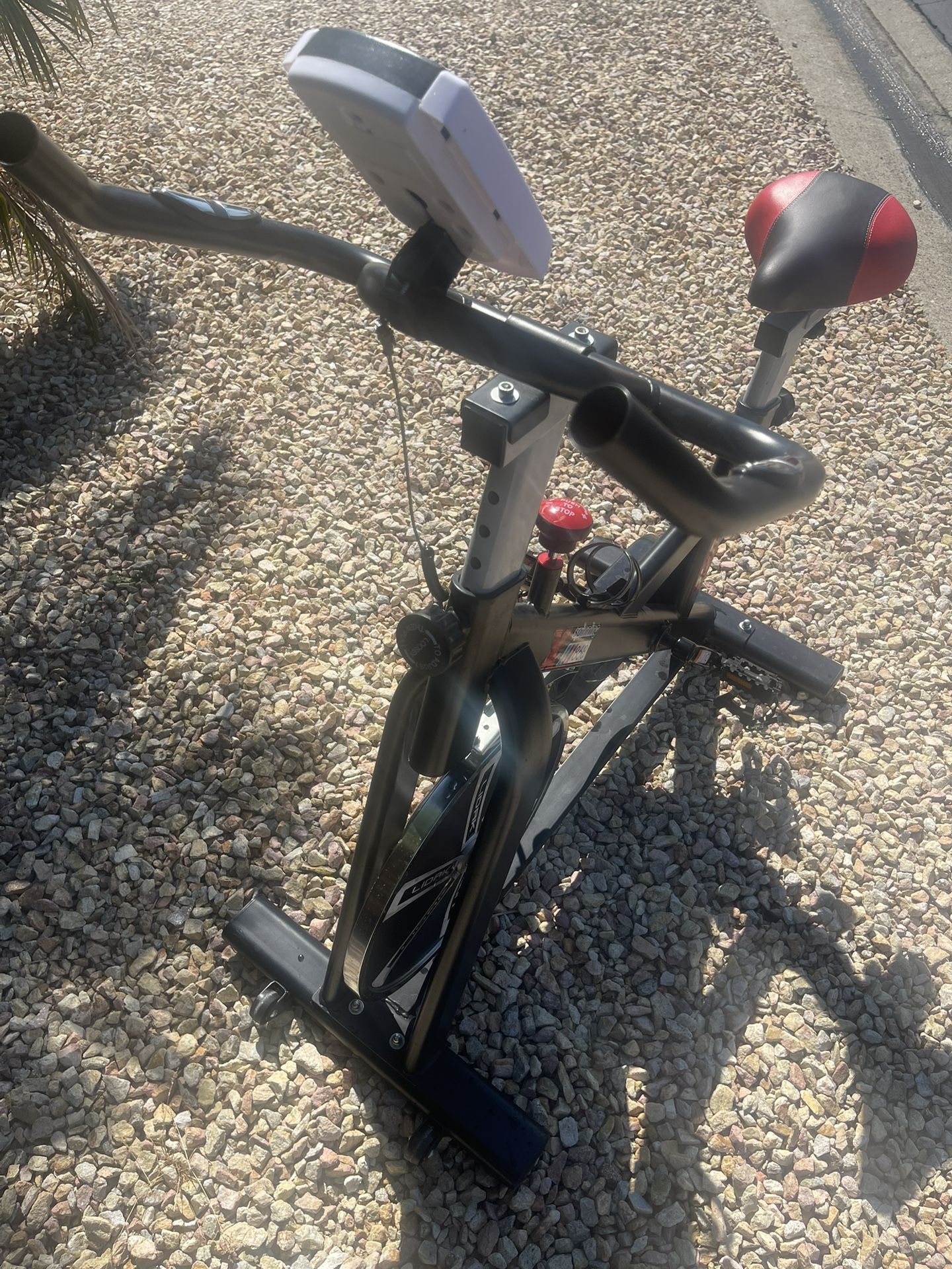 Exercise Bike Upright Home Office Indoor Weight Loss Pedal Fitness Bicycle Trainer Weight Lifting Workout Equipment Lidak Spinning 868 for Sale in Anaheim CA OfferUp