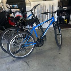 Two Mountain Bikes