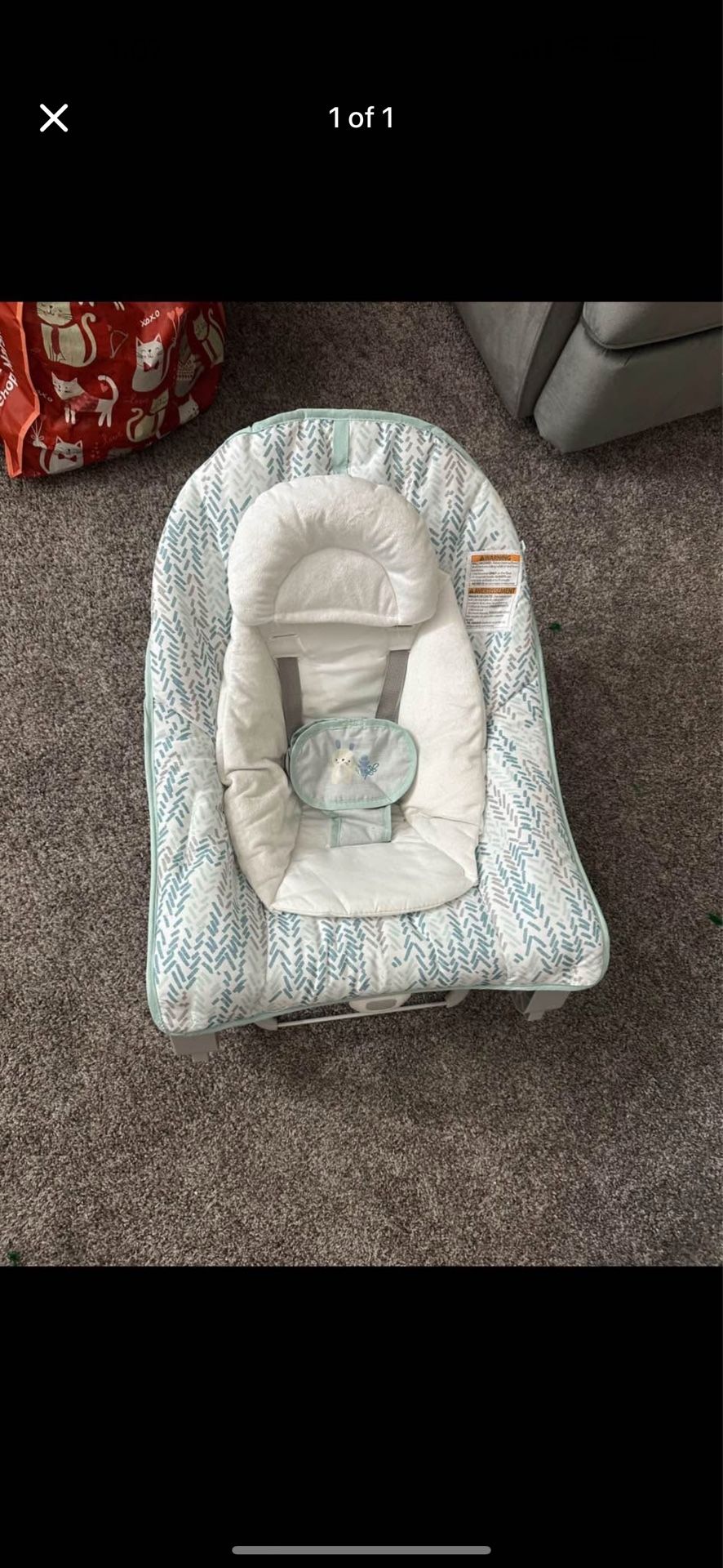 Baby Bouncer