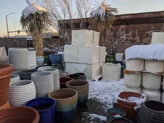 11/28/20 - Great Deals on Priced to Sell Pottery & Plants - Don't Over Mull It