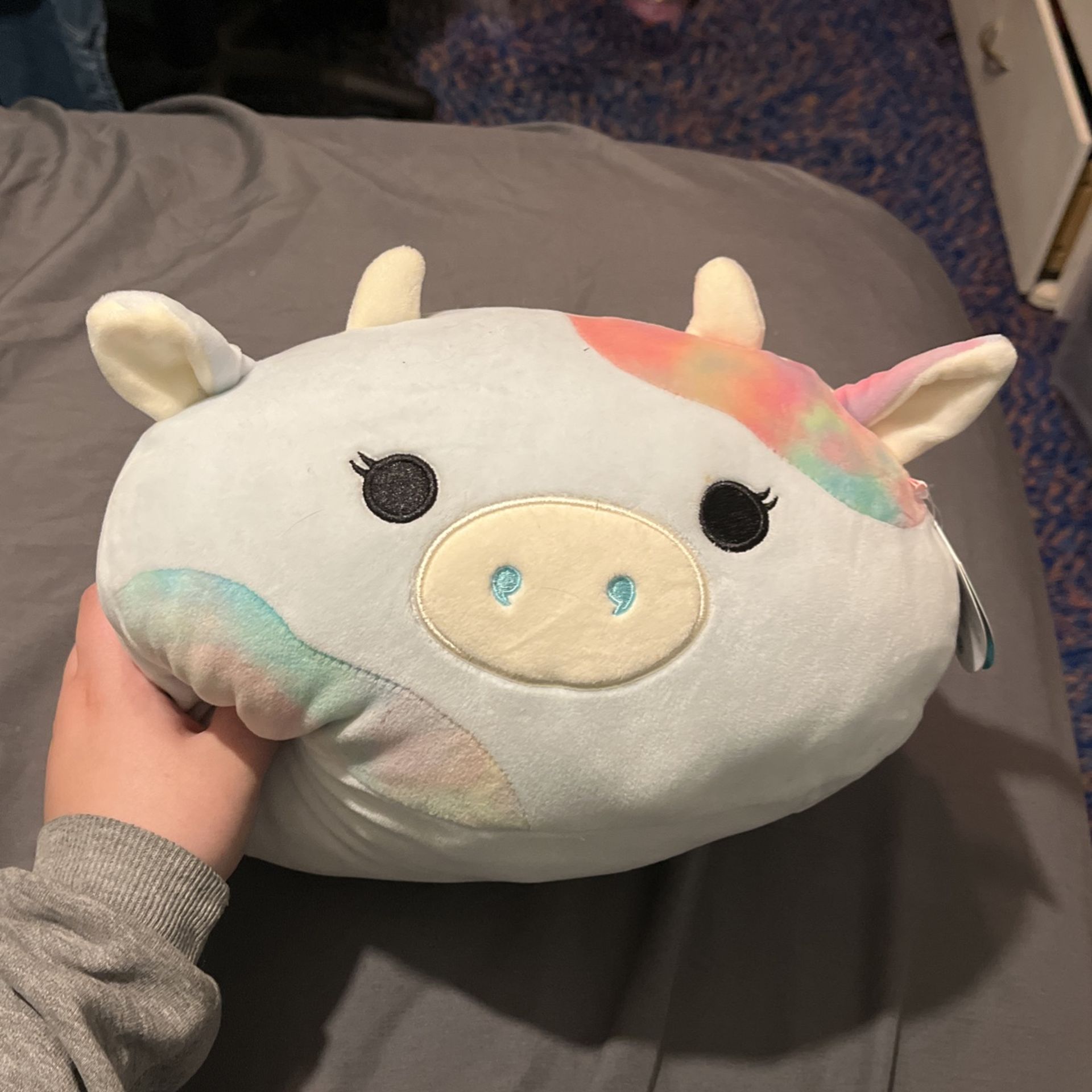 Caedia squishmallow cow 