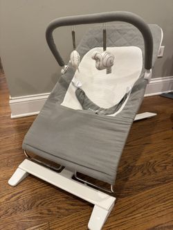 Baby Delight Bouncer