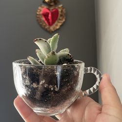 Cutesy gift ideas 💌