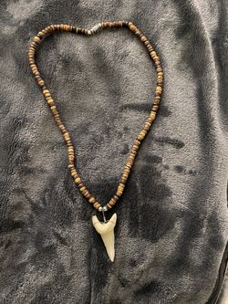 Shark Tooth necklace 10 Inch