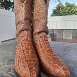 Botas Y Cinto de Piel de Cocodrilo Caiman Cola Horma Puntal Color Cognac