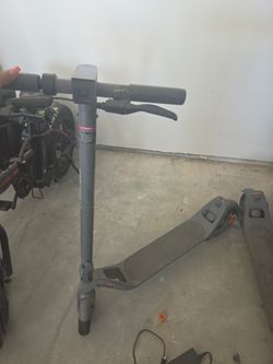 Adult scooter