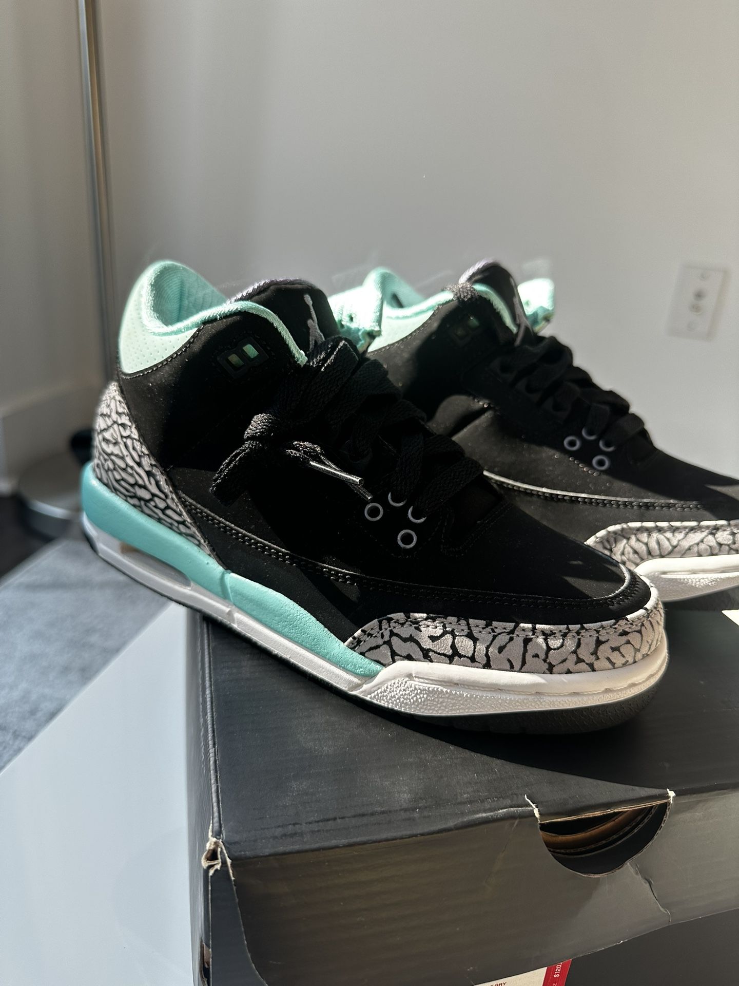 Nike Air Jordan 3 Retro