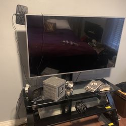 48” TV with stand