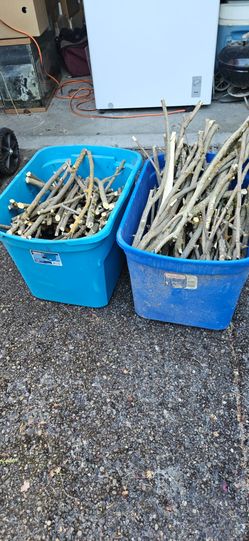 Seasoned kindling