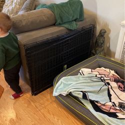 Dog Crate