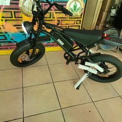 Electric Dirt Bike Style Electric Bike 
