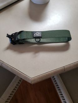 LG Dog Collar