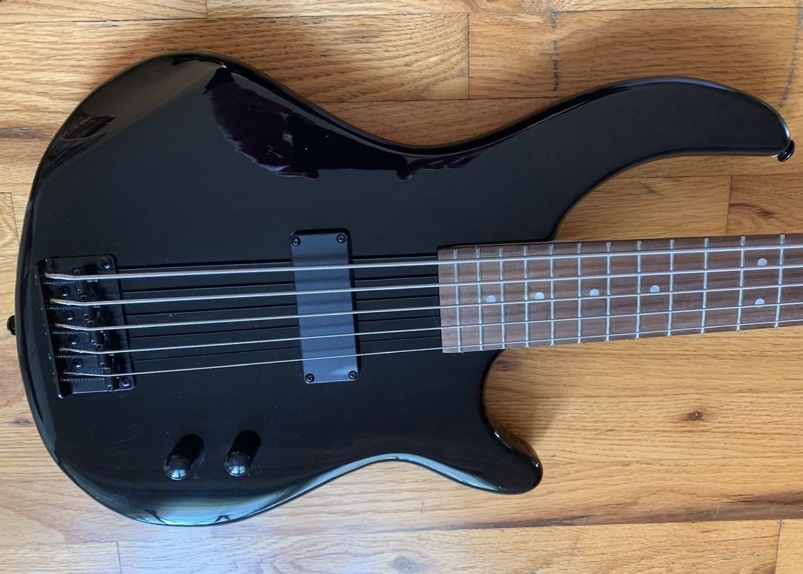 Electric Bass ✨ 5 strings