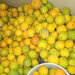 Naranjas. 10$ Cubeta. Aproximadamente 22 Libras