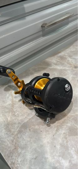 DAIWA SALTIST 35 BLACK & GOLD Conventional Reel with STAR DRAG