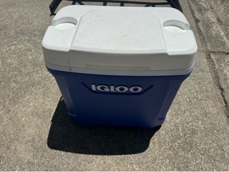 Igloo 30qt Cooler