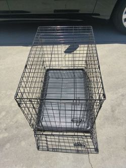 Dog 🦊cage medium