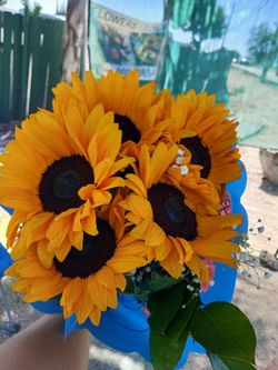 Ventas de flores
