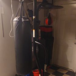 Everlast Heavy Bag and Speed Bag With Stand