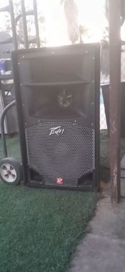 Speaker. Peavey