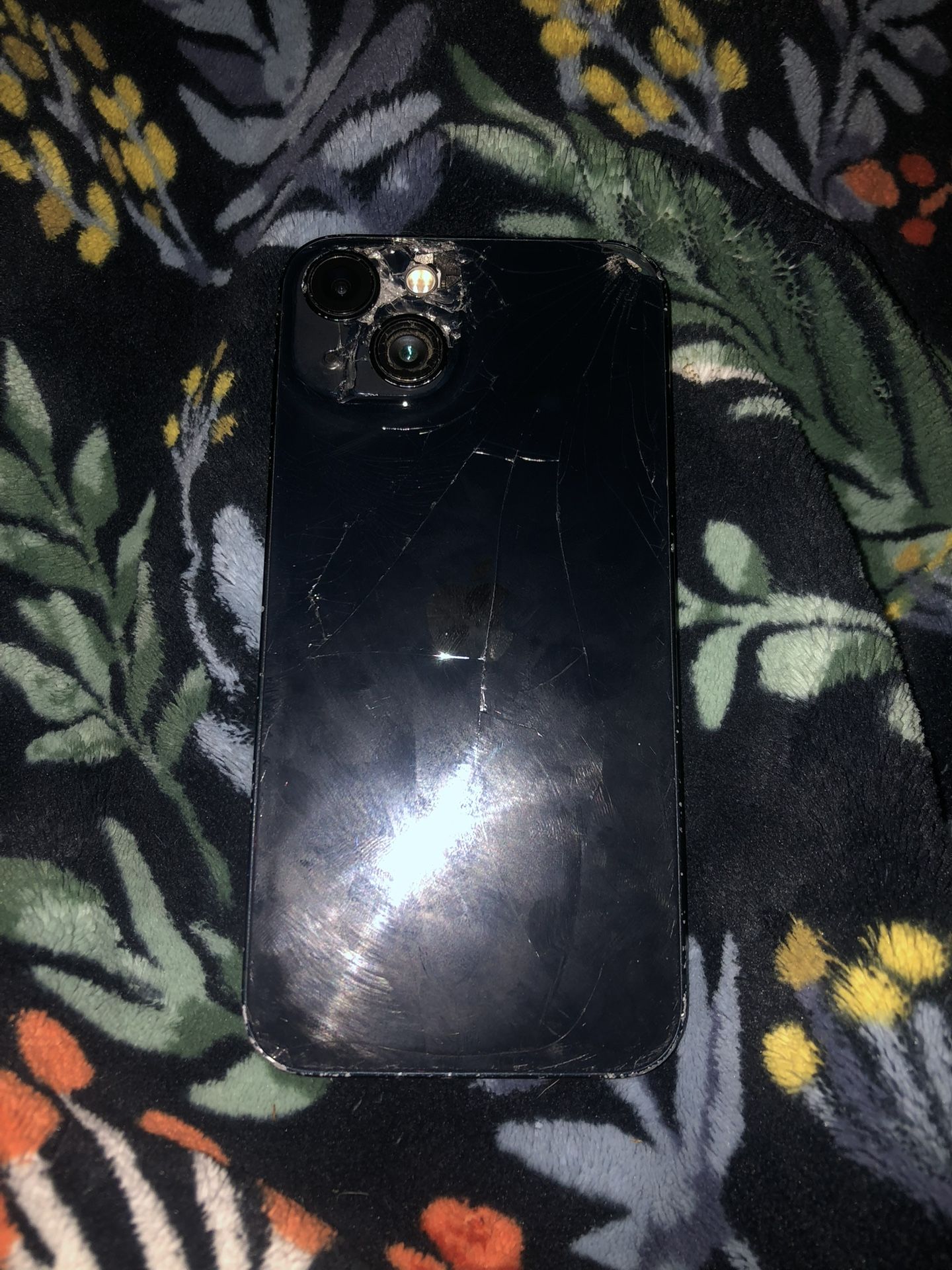 iPhone 13