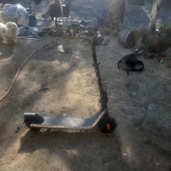 Ninebot Kickscooter By Segway