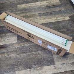 Case Of Philips T8 Fluorescent Tube

30 Pk
