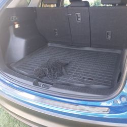 MAZDA CX- 5 SUV