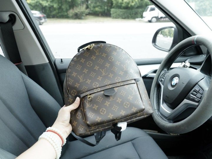 Luxury Backpack Size 32x26x13cm