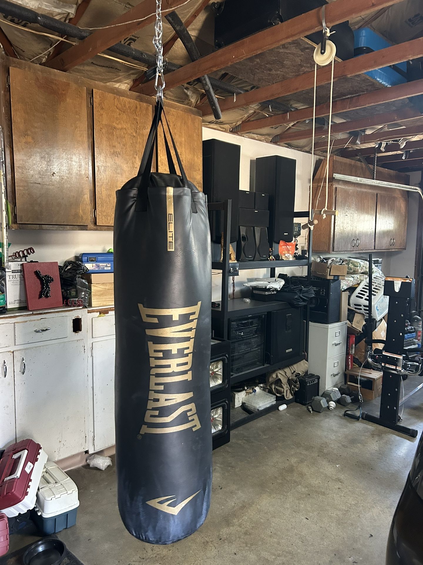 Everlast Punching Bag