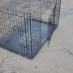 Animal Cage