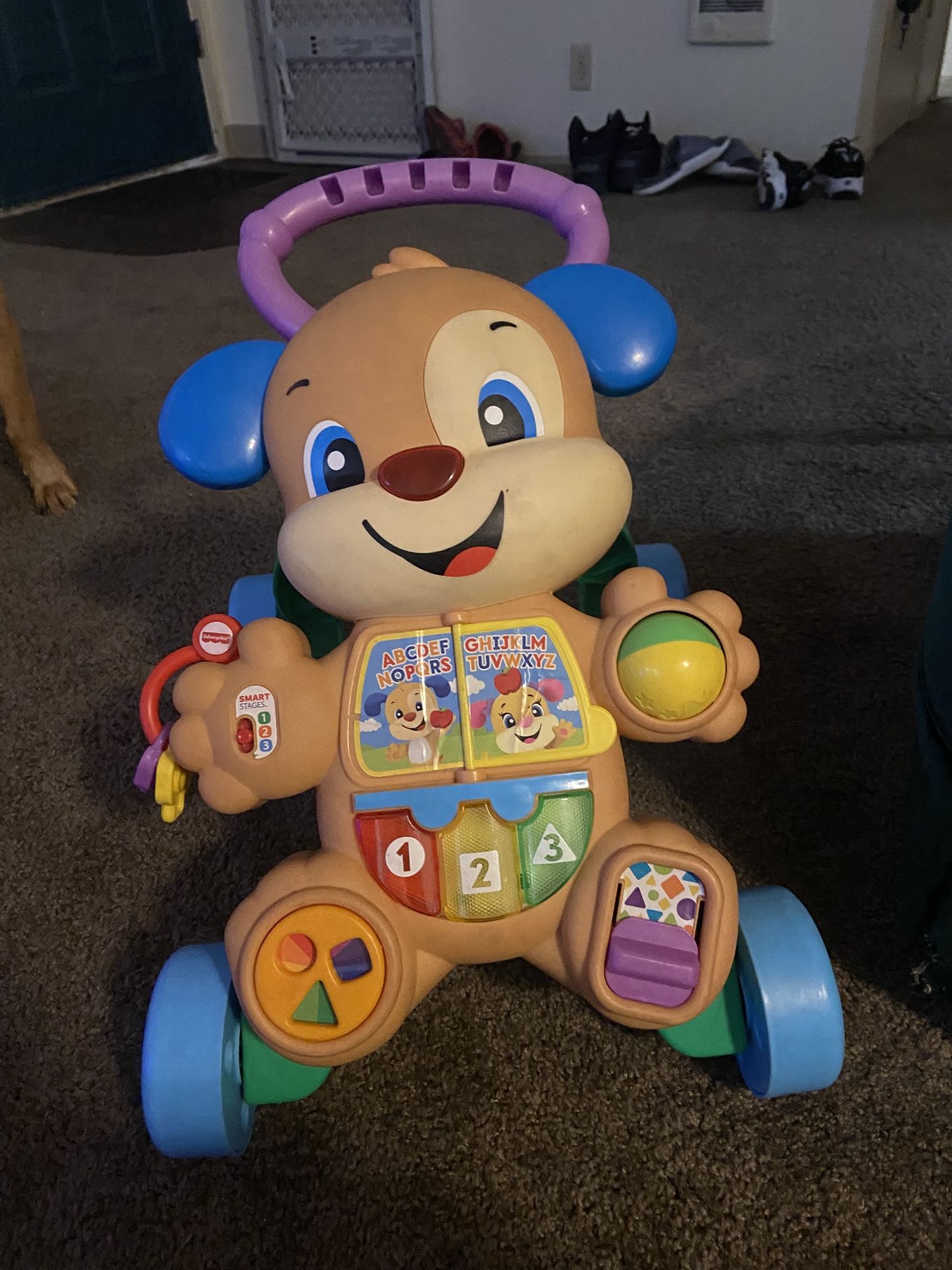 Baby’s Walker