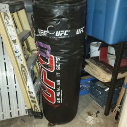 Punching Bag 100lb UFC