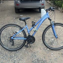 Schwinn Men’s Bike