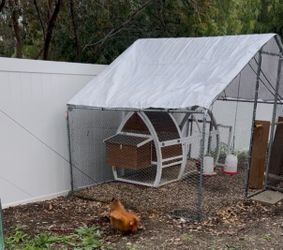 Chicken coop / vegetable garden