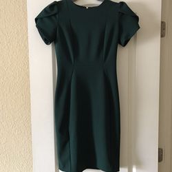 Calvin Klein Green Sheath Dress 2P