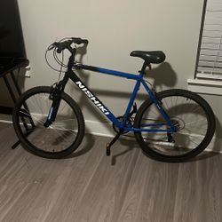 Nishiki mountain Bike