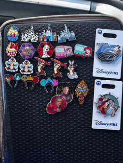 Pin lot