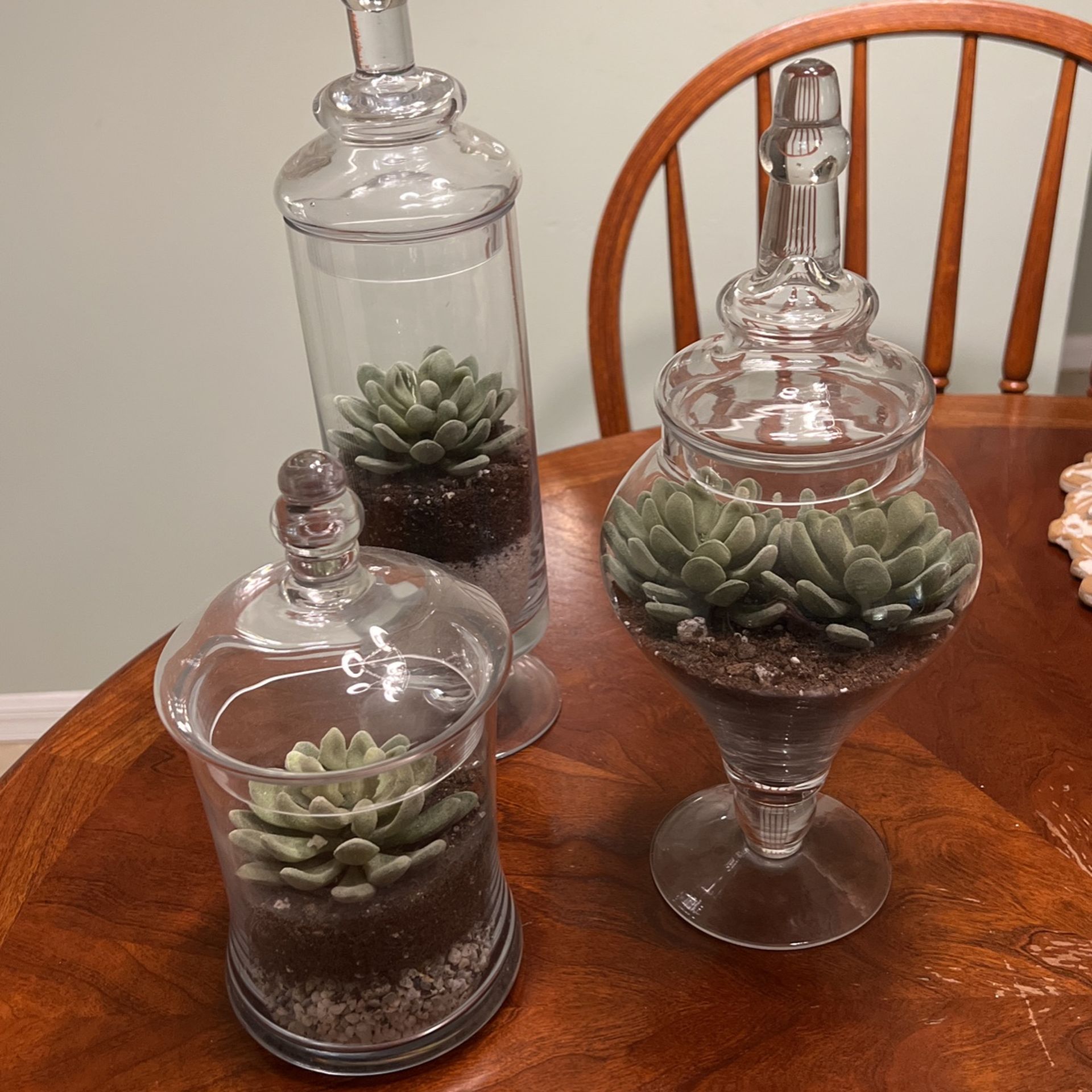 Set of 3 Glass Terrarium Decor With Fake Succulents