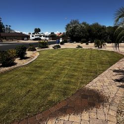 Bermuda MIDIRION Sod 500sf For Sale