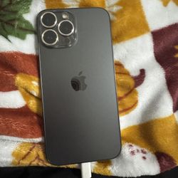 iPhone 13 Pro Max (black)