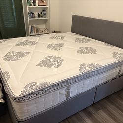 Brand new mattress