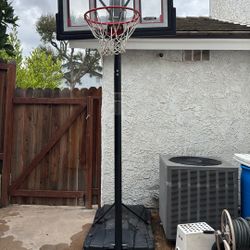 Lifetime Basketball Hoop 