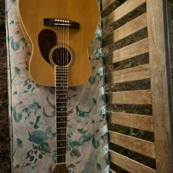 Spectrum Acoustic Guitar