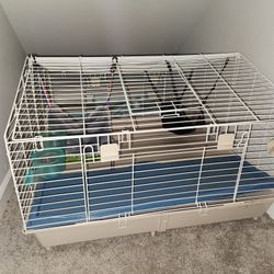 Ferret Accessories 