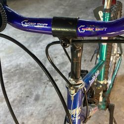 Double Divide Magna Bicycle