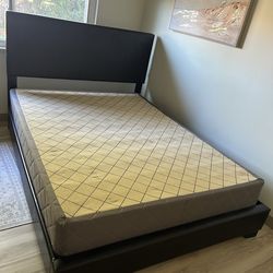 Queen Bedframe and Box Spring