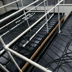 Botanicare 2x8 Black Grow Trays Flood Drain Top Feed Indoor Gordan Rockwool CoCo Hydro Gardening LED