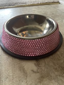 Pet Bowls