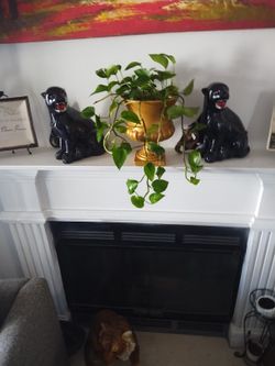 Vintage Jaguars Made In Mexico